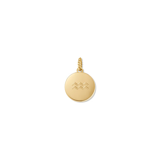 Zodiac Charm - Aquarius | Gold - main image